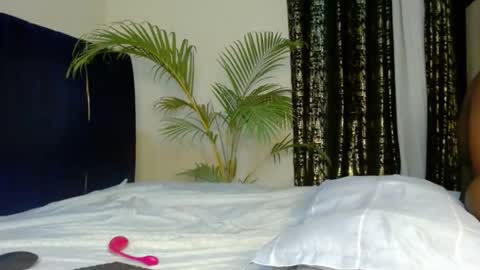 Tiff online show from December 23, 2025, 12:19 am