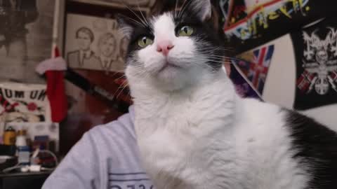 Snapshot of darkness_joones chatting on December 5, 2024, 10:12 pm Darkness online show from December 5, 2024, 10:12 pm