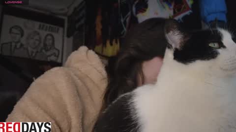 Snapshot of darkness_joones chatting on January 22, 2025, 10:59 pm Darkness online show from January 22, 2025, 10:59 pm