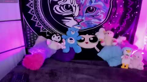 daryimiau online show from July 13, 2026, 4:26 am