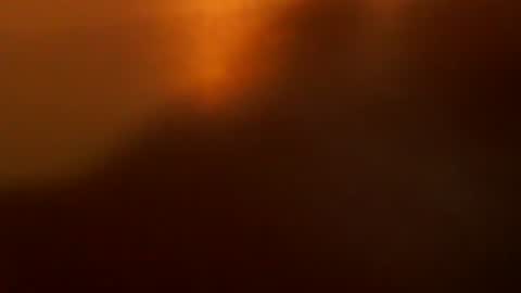 davdao3 online show from December 22, 2025, 7:16 am