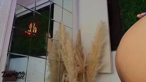 Snapshot of daviana_hill chatting on February 6, 2026, 11:57 am daviana_hill online show from February 6, 2026, 11:57 am