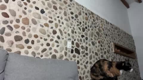 David online show from October 1, 2025, 3:45 am