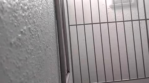 david_stone1969 online show from January 25, 2025, 8:10 pm