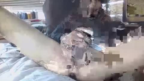 Snapshot of davinsdick chatting on September 30, 2025, 6:35 pm Your daddy online show from September 30, 2025, 6:35 pm