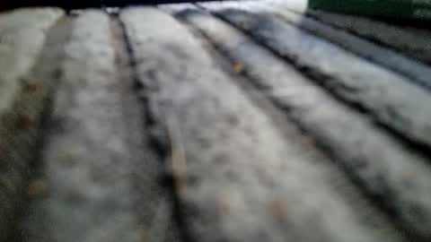 davros8621 online show from November 2, 2025, 1:13 pm