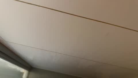 Hornybear online show from January 19, 2026, 6:39 am