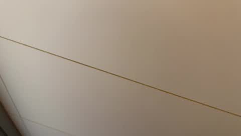 Hornybear online show from February 27, 2026, 7:25 pm