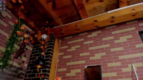 DAYRA ANGELS online show from December 1, 2024, 11:58 pm