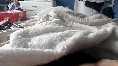 deano2105 online show from March 15, 2026, 11:16 am