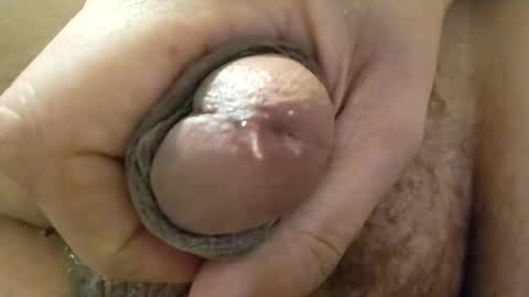 deathzamboni online show from December 15, 2024, 2:16 pm