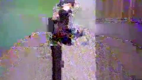 Dee4dayz online show from June 1, 2026, 1:51 am