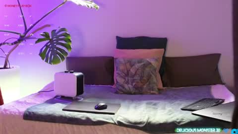 Kitty online show from June 29, 2026, 7:14 am