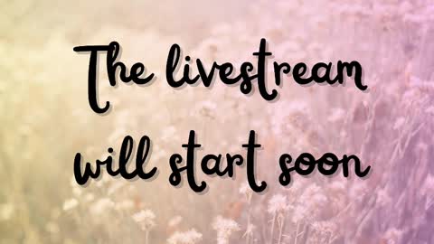 Snapshot of delitevip chatting on March 12, 2025, 10:26 am DeLite  Next stream on Wednesday or Thurdsay  online show from March 12, 2025, 10:26 am