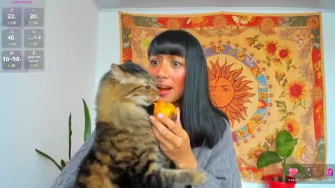 Snapshot of demeter__ chatting on May 4, 2026, 10:06 pm demeter__ online show from May 4, 2026, 10:06 pm