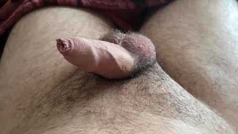 LilRoach online show from November 16, 2025, 3:28 pm