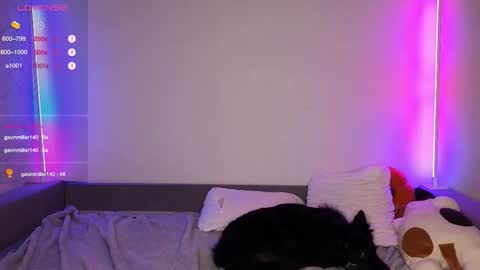 Den online show from December 4, 2025, 2:15 pm