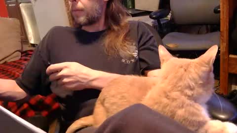 desolation2012 online show from November 1, 2025, 4:58 am