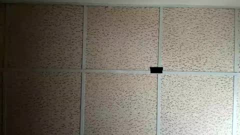 destinydiamondd online show from January 18, 2026, 9:29 pm