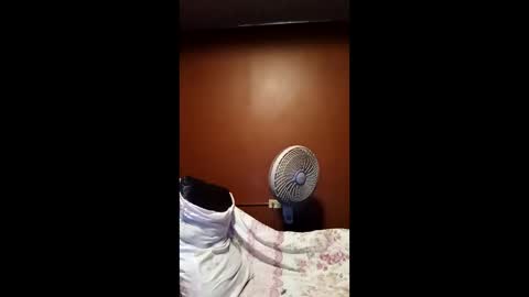 Snapshot of devensingh chatting on March 20, 2026, 5:34 am devensingh online show from March 20, 2026, 5:34 am