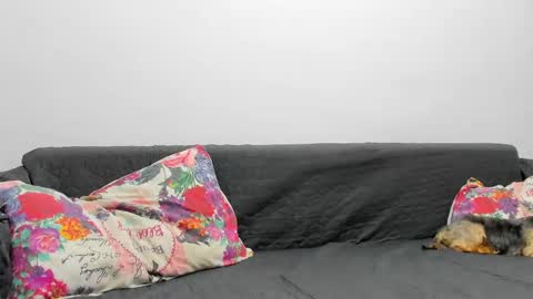 Snapshot of devinesex chatting on February 3, 2025, 7:07 am Misha online show from February 3, 2025, 7:07 am