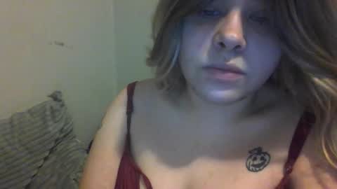 devykitten online show from December 17, 2025, 12:33 pm