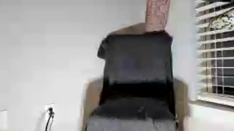 Dextercollins online show from June 27, 2026, 9:03 am