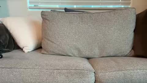 Snapshot of dgafsd chatting on December 15, 2025, 3:27 pm dgafsd online show from December 15, 2025, 3:27 pm