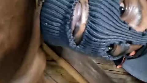 Snapshot of dhbbc454336 chatting on October 2, 2025, 7:15 am Marcus D-von Steel as the raunchy ass sniffer thrill me with your online show from October 2, 2025, 7:15 am