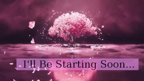 Daphne Sophia Vega online show from April 27, 2026, 8:34 am