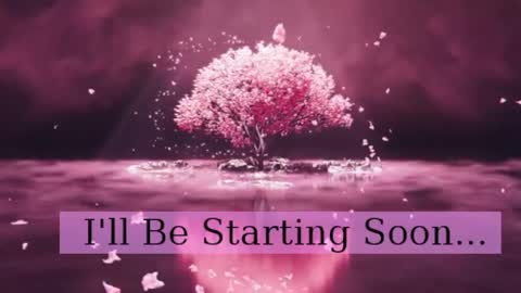 Daphne Sophia Vega online show from May 20, 2026, 12:11 pm