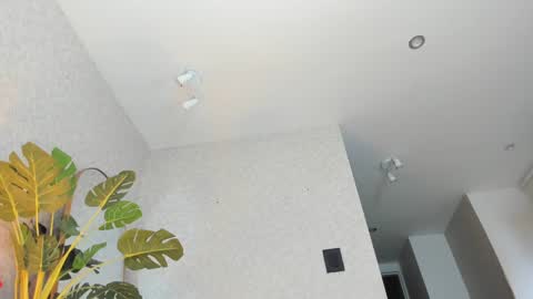 dianac1998 online show from January 5, 2026, 9:18 pm