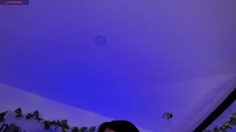 dianekitty online show from December 23, 2024, 12:19 pm