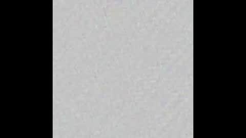 dice_steele online show from March 8, 2026, 2:15 am