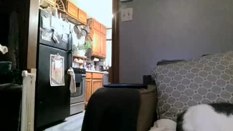 Snapshot of dickwack4u chatting on January 4, 2025, 4:01 am dickwack4u online show from January 4, 2025, 4:01 am