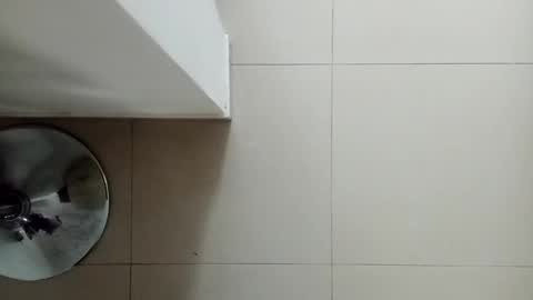 Snapshot of diegomoreno19 chatting on December 18, 2024, 9:29 pm Diego online show from December 18, 2024, 9:29 pm