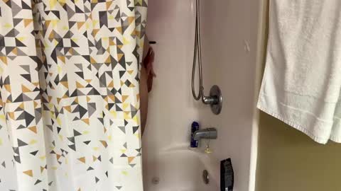 Snapshot of dieharddevotee chatting on March 12, 2025, 10:17 pm dieharddevotee online show from March 12, 2025, 10:17 pm