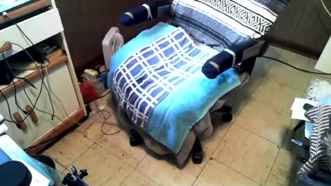 dillon1162 online show from August 8, 2026, 8:44 pm