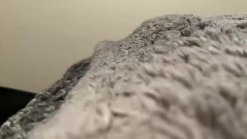 dino202310 online show from October 29, 2025, 2:58 am