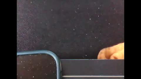 diogominer2 online show from November 24, 2025, 12:27 pm