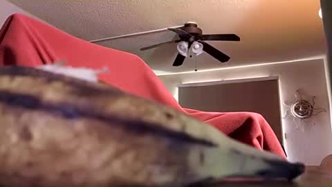 Snapshot of dipstik11 chatting on October 9, 2025, 6:17 pm DIPSTIK online show from October 9, 2025, 6:17 pm