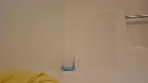 Snapshot of dipstik11 chatting on October 13, 2025, 5:51 am DIPSTIK online show from October 13, 2025, 5:51 am