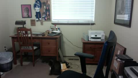 Snapshot of dirtrider195080438 chatting on June 28, 2026, 4:46 pm dirtrider195080438 online show from June 28, 2026, 4:46 pm