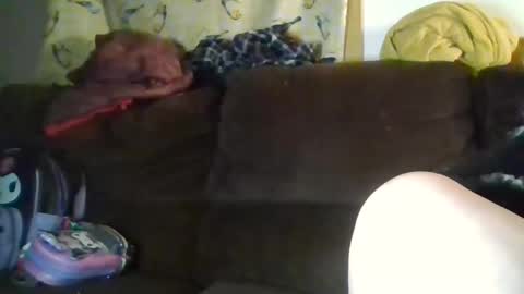 Crystal online show from January 10, 2026, 3:30 am