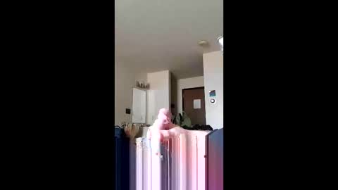 discreetmt online show from June 11, 2026, 1:42 pm
