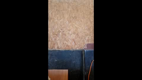 dispuestoatod online show from December 20, 2025, 8:27 pm