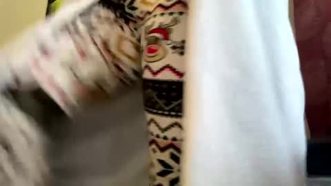 Snapshot of dizzinsweatyy chatting on March 10, 2025, 5:29 pm dizzinsweatyy online show from March 10, 2025, 5:29 pm