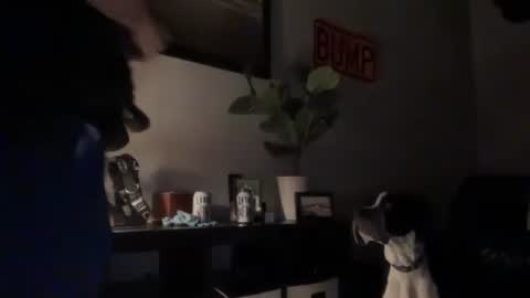 Snapshot of dj_chaterbate chatting on March 10, 2026, 7:13 am DJ Chaterbate online show from March 10, 2026, 7:13 am