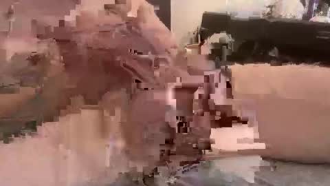 djfrankieice online show from February 17, 2026, 4:53 am