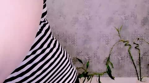 djullia online show from April 23, 2026, 12:29 pm